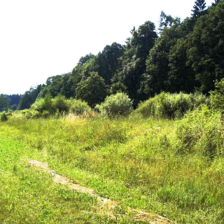 https://www.landschaftsarchitekt-haas.de/wp-content/uploads/2012/04/008-01.jpg