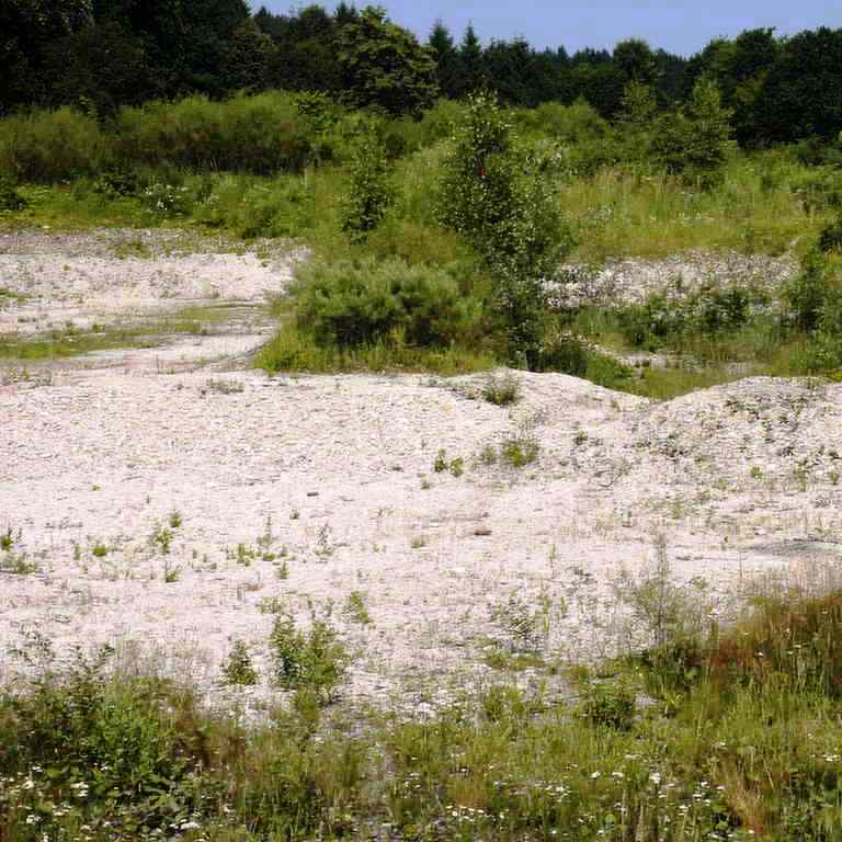 https://www.landschaftsarchitekt-haas.de/wp-content/uploads/2012/04/008-09.jpg