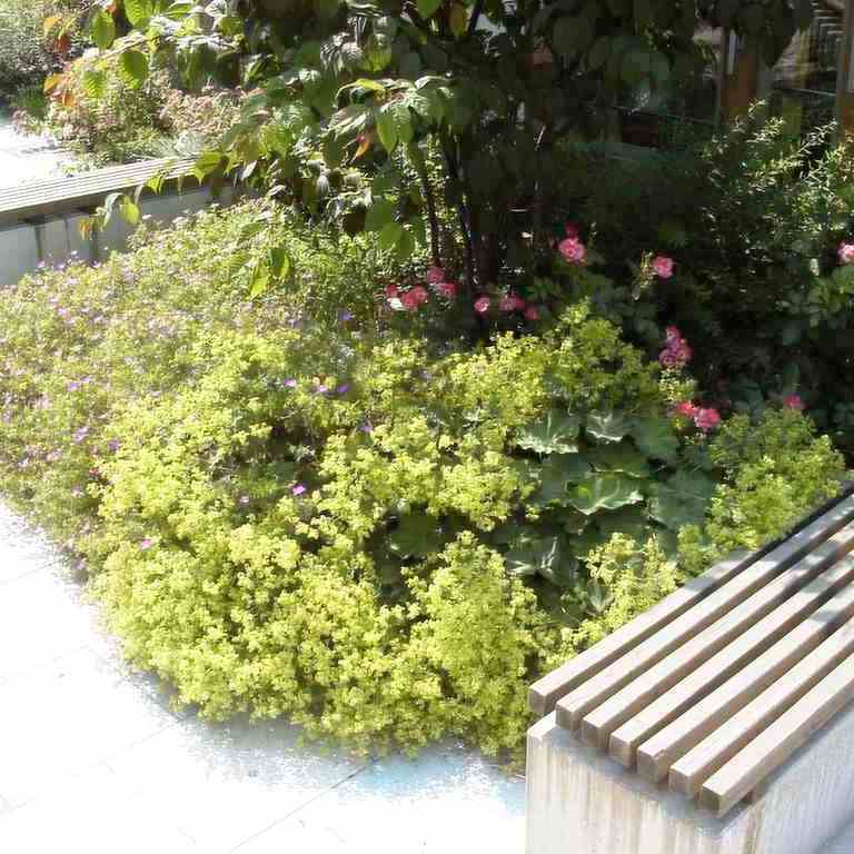 https://www.landschaftsarchitekt-haas.de/wp-content/uploads/2012/04/017-09.jpg