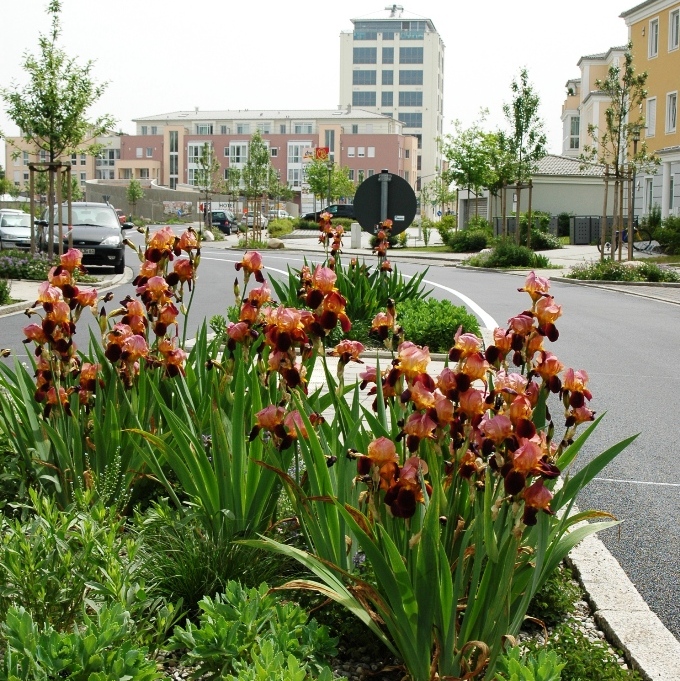 https://www.landschaftsarchitekt-haas.de/wp-content/uploads/2012/04/113-082.jpg