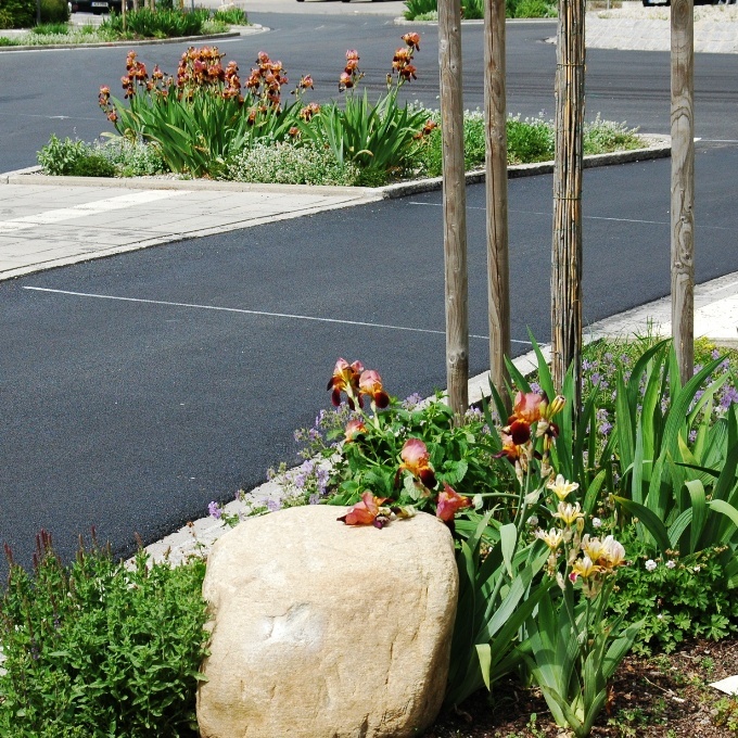 https://www.landschaftsarchitekt-haas.de/wp-content/uploads/2012/04/113-092.jpg