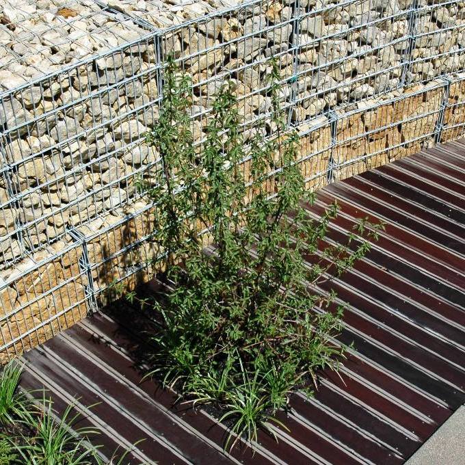 https://www.landschaftsarchitekt-haas.de/wp-content/uploads/2012/04/133-0121.jpg