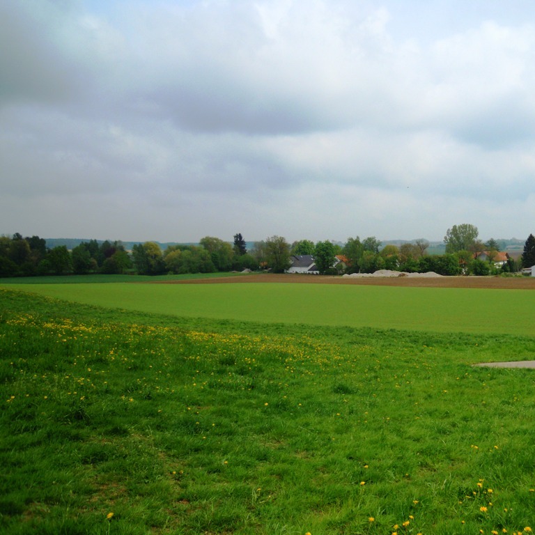 https://www.landschaftsarchitekt-haas.de/wp-content/uploads/2012/04/188-012.jpg