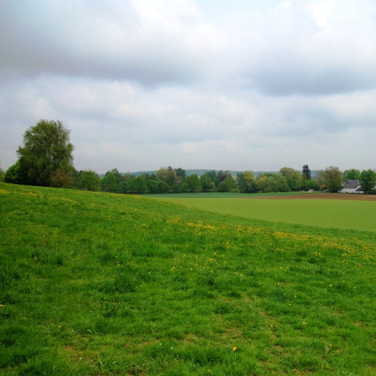 https://www.landschaftsarchitekt-haas.de/wp-content/uploads/2012/04/188-022.jpg