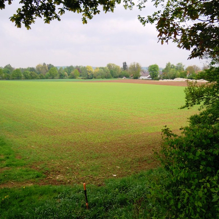 https://www.landschaftsarchitekt-haas.de/wp-content/uploads/2012/04/188-041.jpg