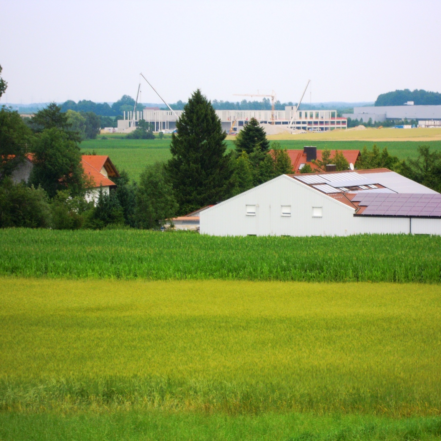 https://www.landschaftsarchitekt-haas.de/wp-content/uploads/2012/04/188-051.jpg