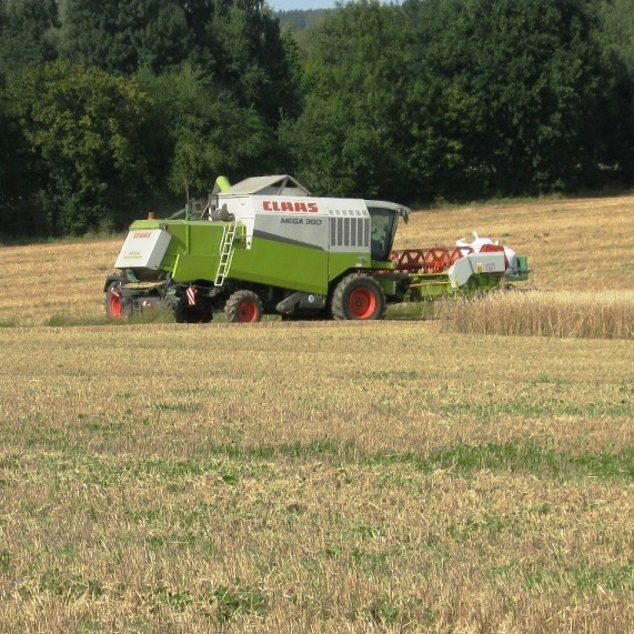 https://www.landschaftsarchitekt-haas.de/wp-content/uploads/2012/04/188-14.jpg